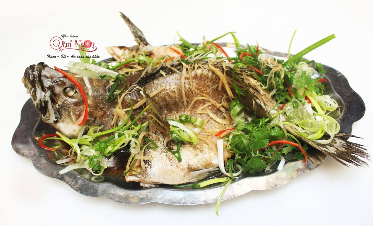 46512294_1573219049445808_7752621831357464576_n