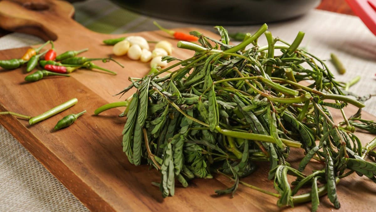 rau-nhut-rau-rut-la-gi-rau-nhut-co-tac-dung-gi-ai-khong-nen-an-rau-nhut-0-1200x676-1