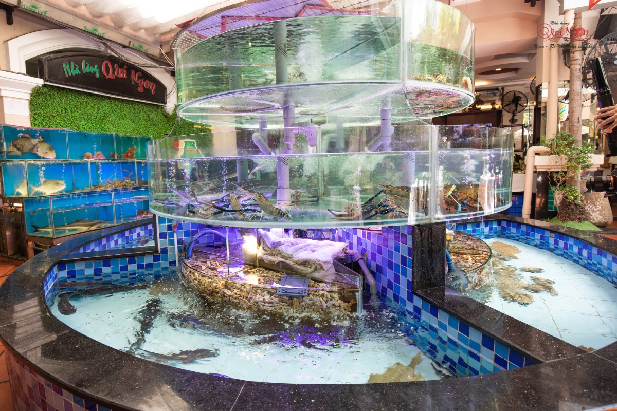 300008577_4791789624255385_6070880309235274233_n