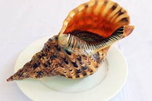 Hoang Hau shellfish